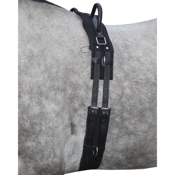 HKM Longiergurt mit Doppelgriff Canvas Warmblut Schwarz