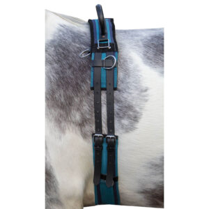 HKM Longiergurt mit Doppelgriff Canvas Warmblut Navy/ Skyblue