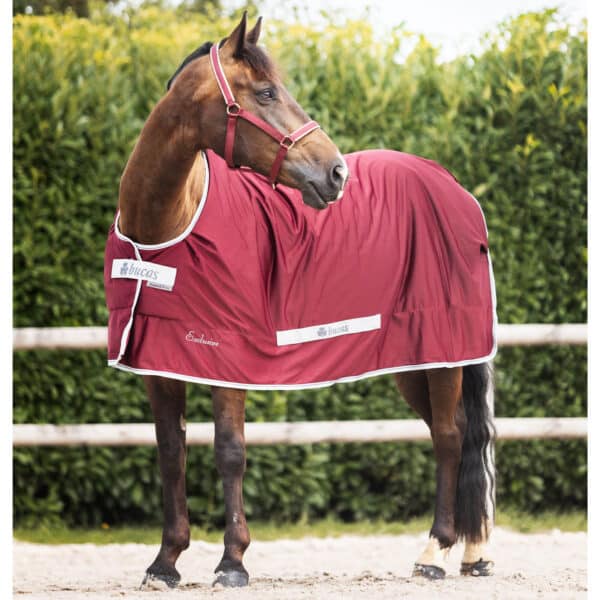 Bucas Stalldecke 0g Shamrock Power Exclusive Unterdecke Transportdecke 145 Wine