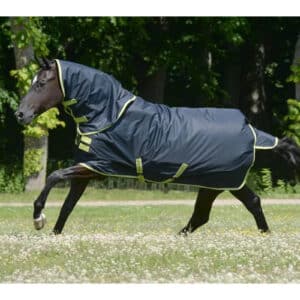 Bucas Outdoordecke 100g Oasis Turnout 100 + Neck 165 Grey/Lime