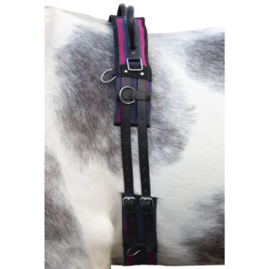 HKM Longiergurt mit Doppelgriff Canvas Warmblut Navy/ Passion Pink