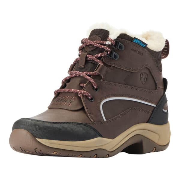 Ariat Schuh Damen Telluride H2O Insulated Outdoorschuh Damenschuh 41.5 Dark Brown