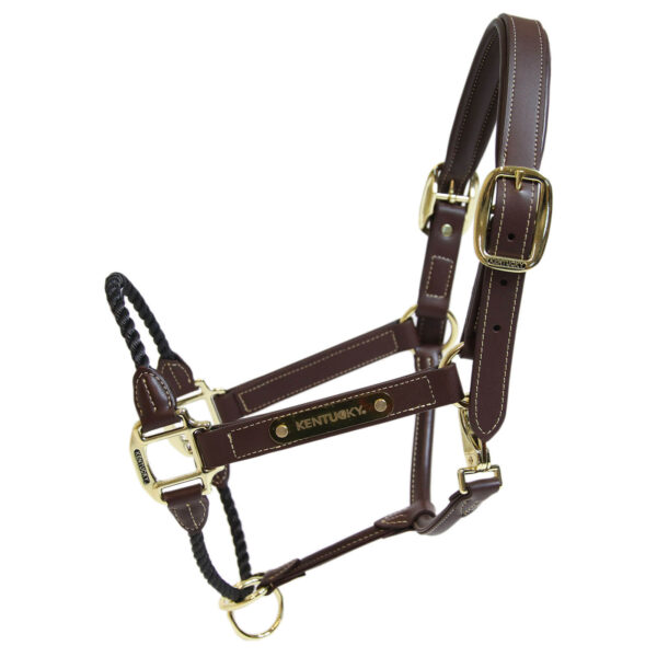 Kentucky Horsewear Lederhalfter Rope Halfter Cob Braun