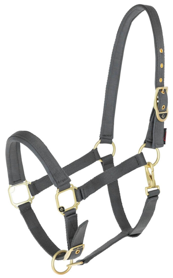 Covalliero Halfter Classy Nylonhalfter Pony Stone