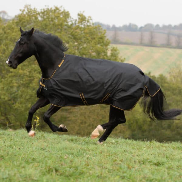 Bucas Outdoordecke 50g Irish Turnout Big Neck 140 Black/Gold