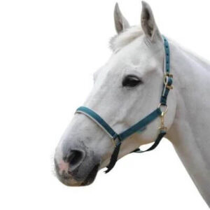 Bucas Nylonhalfter Dublin Halfter Pony Atlantic/Silver