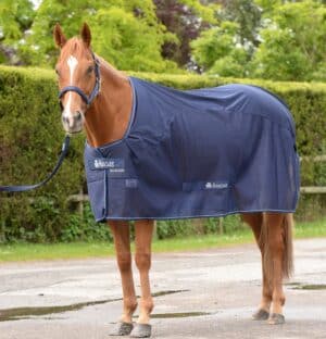 Bucas Abschwitzdecke Competition Cooler 130 Navy