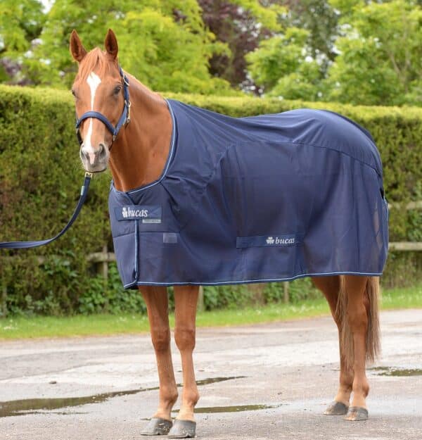 Bucas Abschwitzdecke Competition Cooler 130 Navy