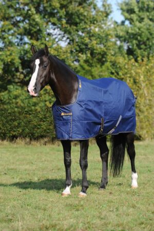 Bucas Outdoordecke 50g Irish Turnout Light 115 Navy / Gold