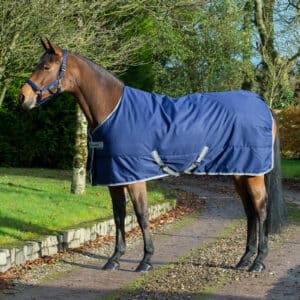 Bucas Stalldecke 300g Freedom Stable 155 Navy