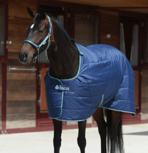 Bucas Unterdecke 150g Quilt Stay Dry 115 Navy