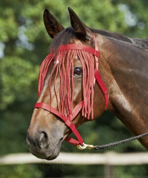 BUSSE Halfter Weide- Fransen Stallhalfter P Rot