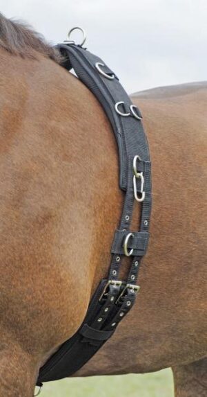 BUSSE Longiergurt Profi-Soft Pony