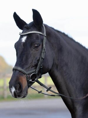 BUSSE Trense Emotion Reithalfter Trensenzaum mit Zügel VB Schwarz/ Kristall