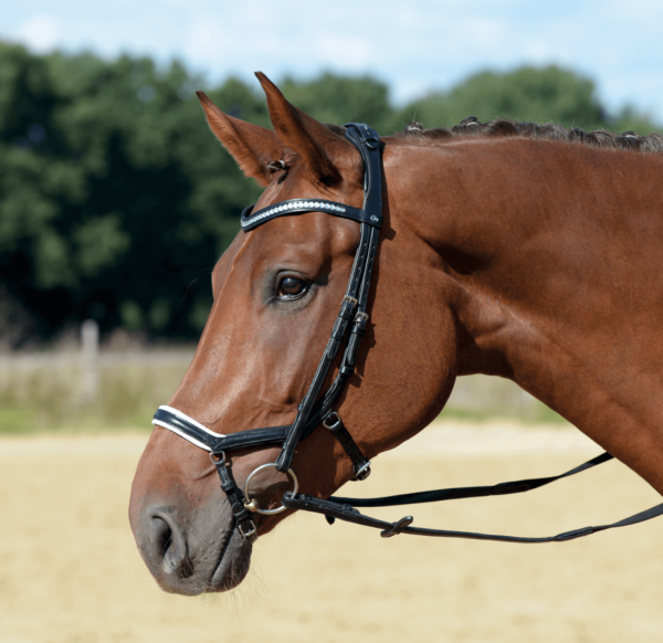 BUSSE Trense Emotion Reithalfter Trensenzaum mit Zügel Pony schwarz (weiß)/ Kristall