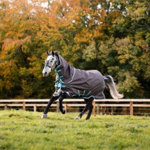 Horseware Ireland Outdoordecke 250g Amigo Bravo 12 Plus T/O Medium Disc 115 (5&apos;6) Excalibur/Aqua & Turquoise