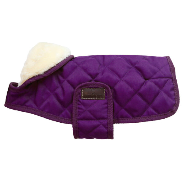 Kentucky Dogwear Hundemantel Original Hundejacke S/M Royal Purple