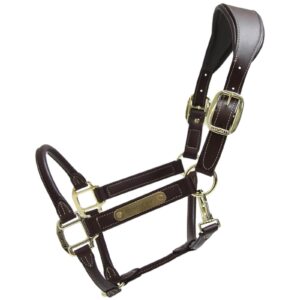 Kentucky Horsewear Lederhalfter Anatomic Cob Braun