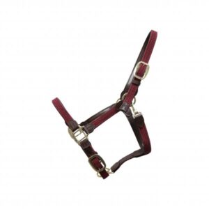 Kentucky Horsewear Stallhalfter Plaited Nylon Halfter Nylonhalfter Cob Bordeaux