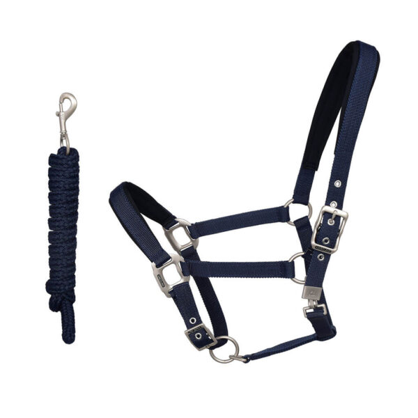 Kingsland Halfter Classic mit Strick Pony Navy