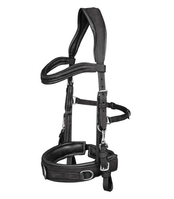 Waldhausen Lederkappzaum Anatomic Pony Schwarz