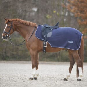 Waldhausen Nierendecke Fleece Economic Pony Nachtblau