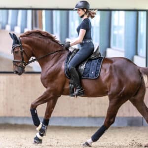 Waldhausen Schabracke Dressur Modern Rosé Dressurschabracke Full Nachtblau